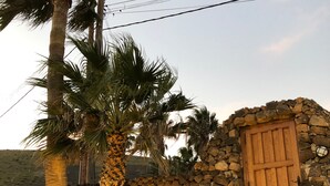 A stone staircase leading to a wooden door, surrounded by palm trees and a stone wall.