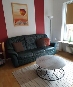 智能电视、DVD 播放器、书、音乐库