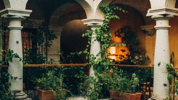 An indoor garden with stone columns, potted plants, and a warm light source. - Casa Antonieta (Oaxaca)