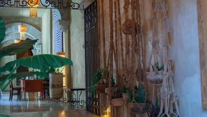 A lobby with a polished marble floor, a wooden reception desk, potted plants, macramé wall hangings, and a large green plant. - Casa Antonieta (Oaxaca)