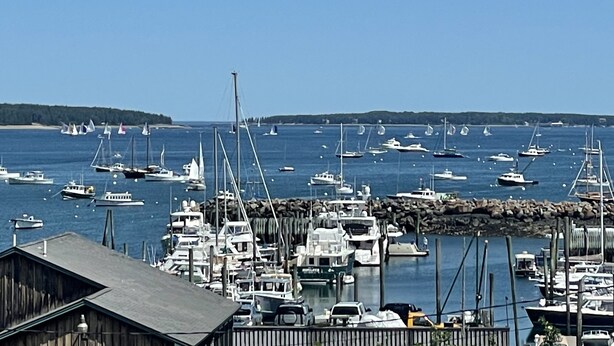 Un port de plaisance où sont amarrés de nombreux bateaux, un bâtiment en bois au premier plan et un ciel bleu dégagé.