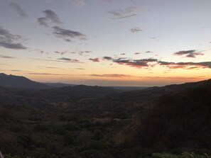 Niet-geclassificeerde afbeelding, 3 van 14, knop