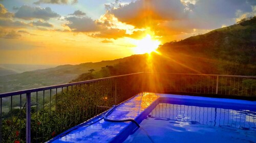 Orange Hill ist eine kleine Farm, die sich der Erhaltung des natürlichen Waldes widmet