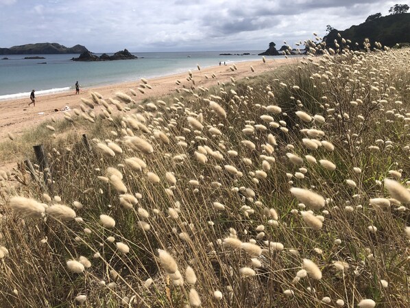 Beach nearby