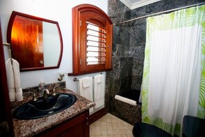 Combined shower/bathtub, jetted bath, hair dryer, towels