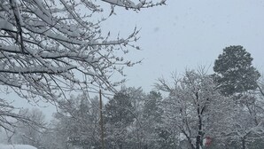 A snowy residential street with parked cars, trees, and a stop sign. - Grand Canyon & Route 66: Historic Williams Getaway (Williams)