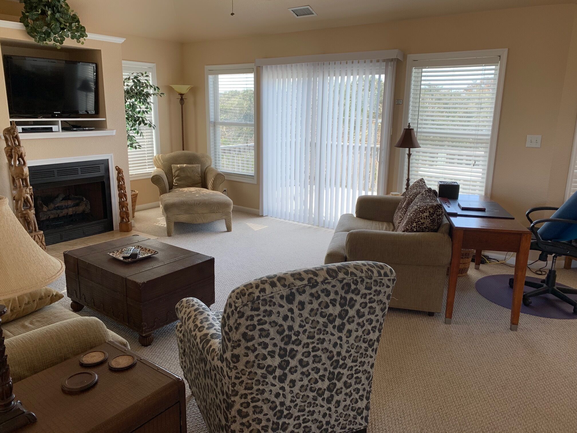 TV, fireplace, video games, DVD player