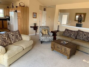 Télévision, cheminée, jeux vidéo, lecteur de DVD