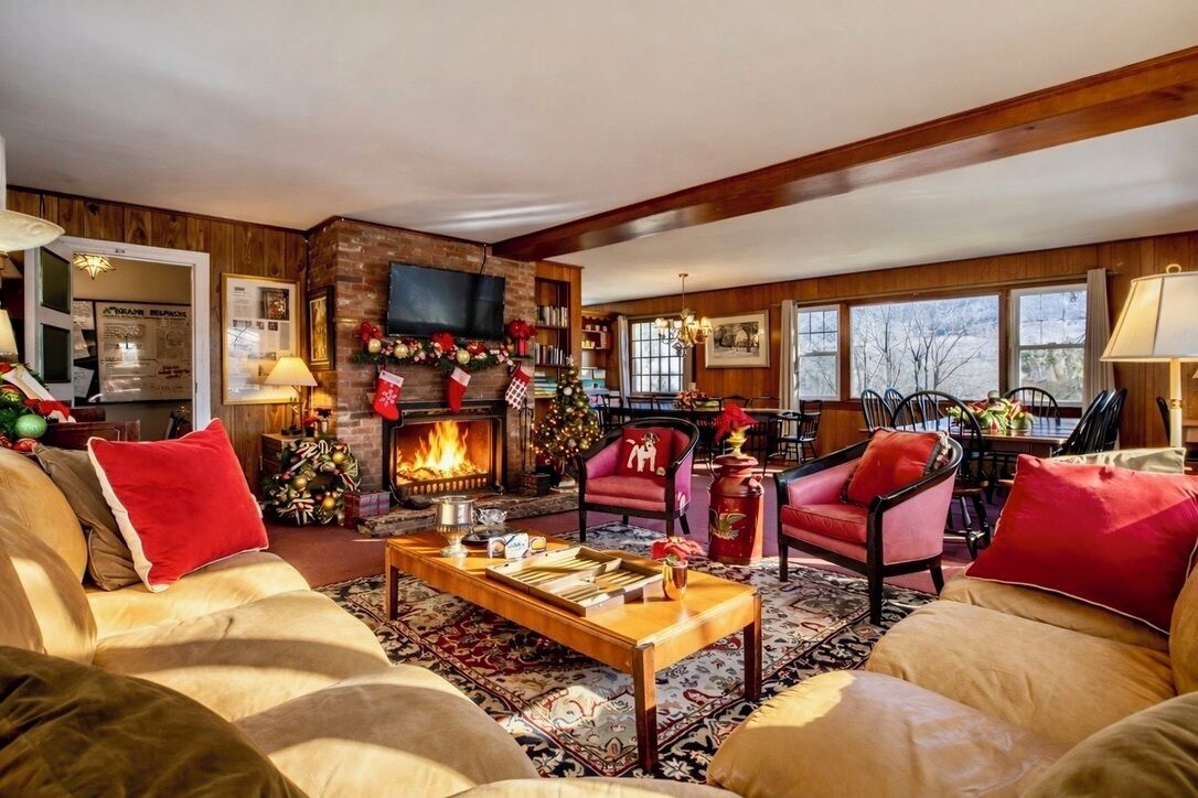 Télévision, cheminée, lecteur de DVD, table de tennis de table