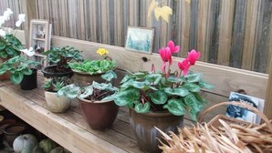 Un banco de madera con plantas en macetas y adornos.