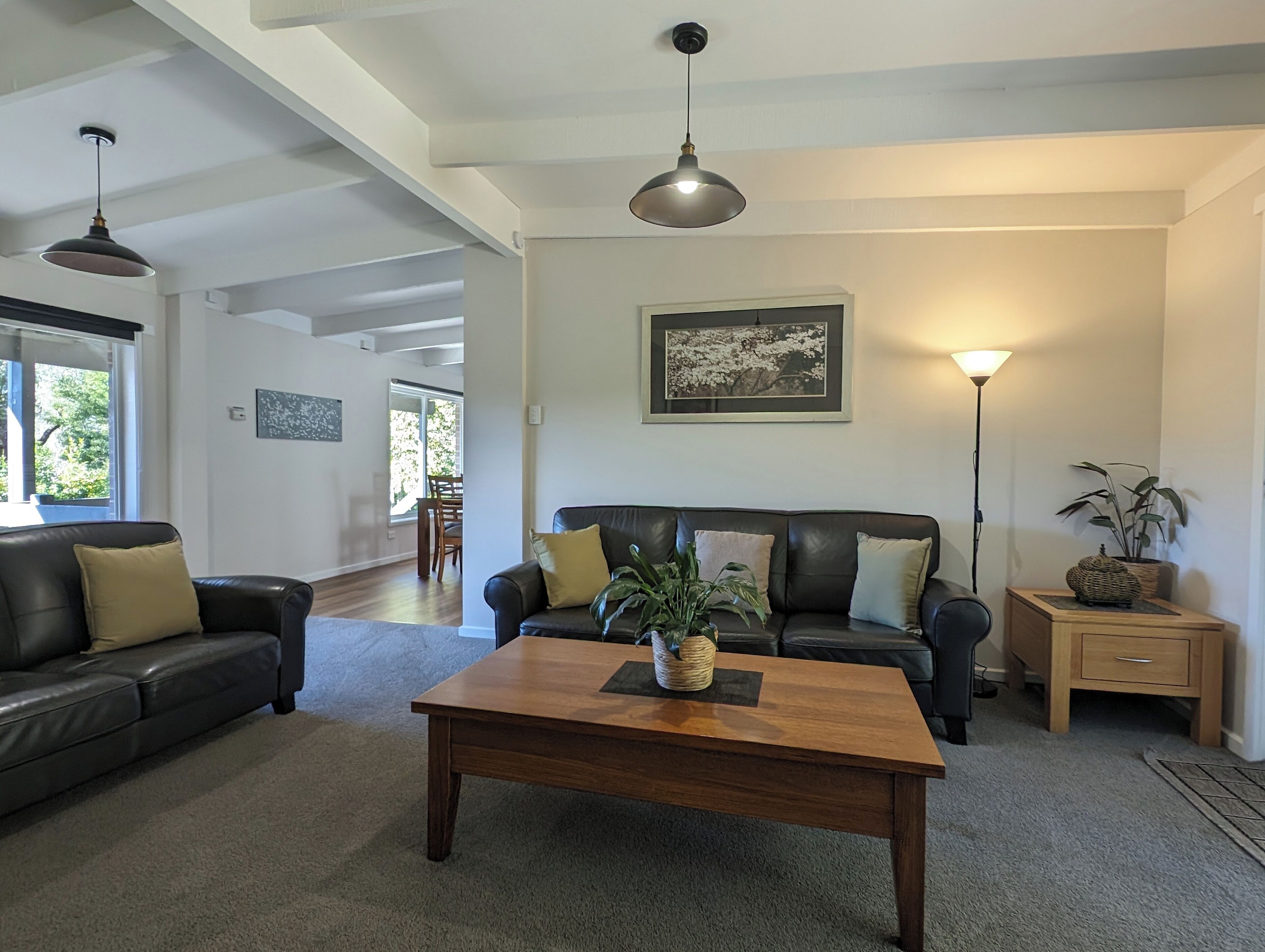 TV connectée, lecteur de DVD, livres, vidéothèque