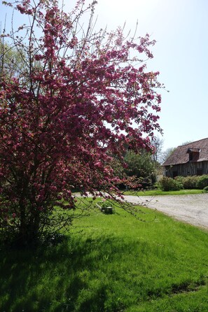 Àrea exterior de l'allotjament