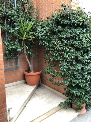 Property grounds - The ApArtMent 01 Versilia (Camaiore)