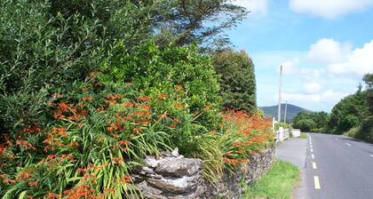 Cosy cottage near village beach Links and Hogs Head Golf Courses