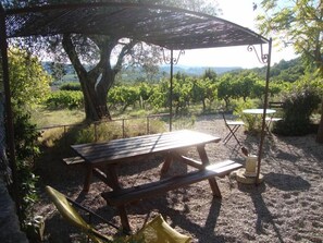 An outdoor patio with a wooden table and chairs, surrounded by a pergola and a view of vineyards.