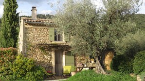 A stone house with a tiled roof, a small porch, and a large olive tree in the yard.