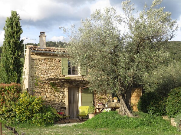 A stone house with a tiled roof, a small porch, and a large olive tree in the yard.