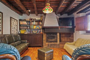 Älytelevisio, takka, kirjoja, videokirjasto