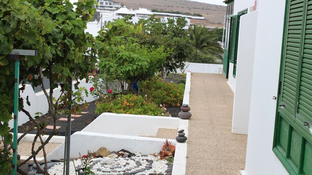 A garden with a white wall, green shutters, and a variety of plants. - Casangeles Holiday Homes (Mozaga)