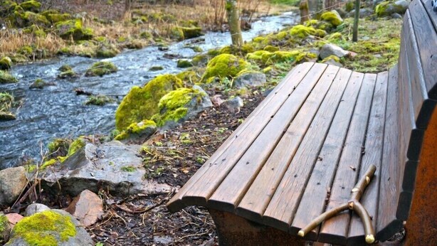 Un banco de madera junto a un arroyo, con rocas cubiertas de musgo y árboles al fondo.