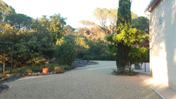 A gravel driveway leading to a building with a white exterior. There are trees and a small garden area with a potted plant.