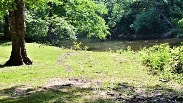 A natural landscape with a river, dense greenery, and a trail. - Stay WATERFRONT. Stay CHEAT RIVER LODGE (Elkins)