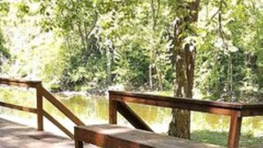 A wooden deck with a hot tub surrounded by trees. - Stay WATERFRONT. Stay CHEAT RIVER LODGE (Elkins)