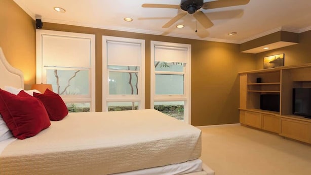 A bedroom with a bed, a ceiling fan, a television, and a window with a view of trees.