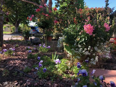 High end 1BR/1BA Attached House in the Heart of Silicon Valley, Non-Smokers only