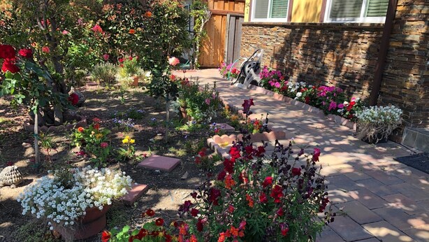 A garden with various potted plants and flowers, a stone pathway, and a wooden fence. - High end 1BR/1BA Attached House in the Heart of Silicon Valley, Non-Smokers only (San Jose)