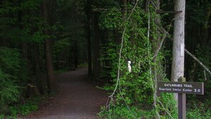 A forested trail with a sign indicating the Gatlinburg Trail and Sugarland Visitor Center 2.0.