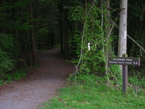 Follow the trail to the Sugarland Visitor Center, 2 miles away, through the dense forest.
