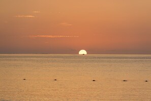 On the beach, sun loungers, beach towels