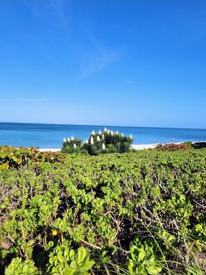 Sun loungers, beach towels - ONE BLOCK to the beach, Restaurants & Shopping!!! (Naples)