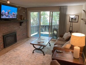 Smart TV, fireplace, DVD player, books