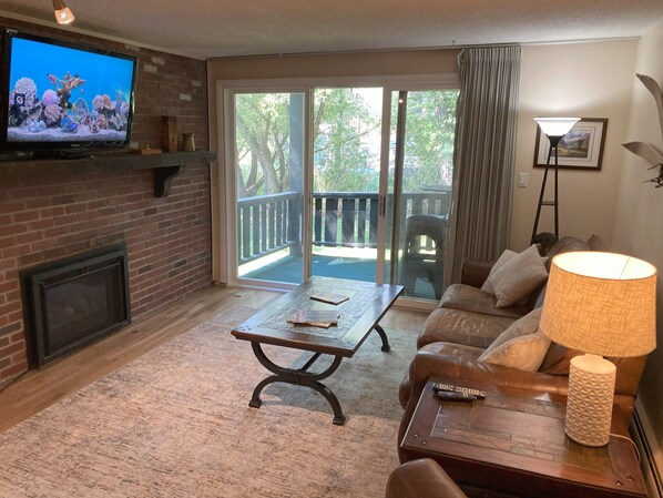 TV connectée, cheminée, lecteur de DVD, livres