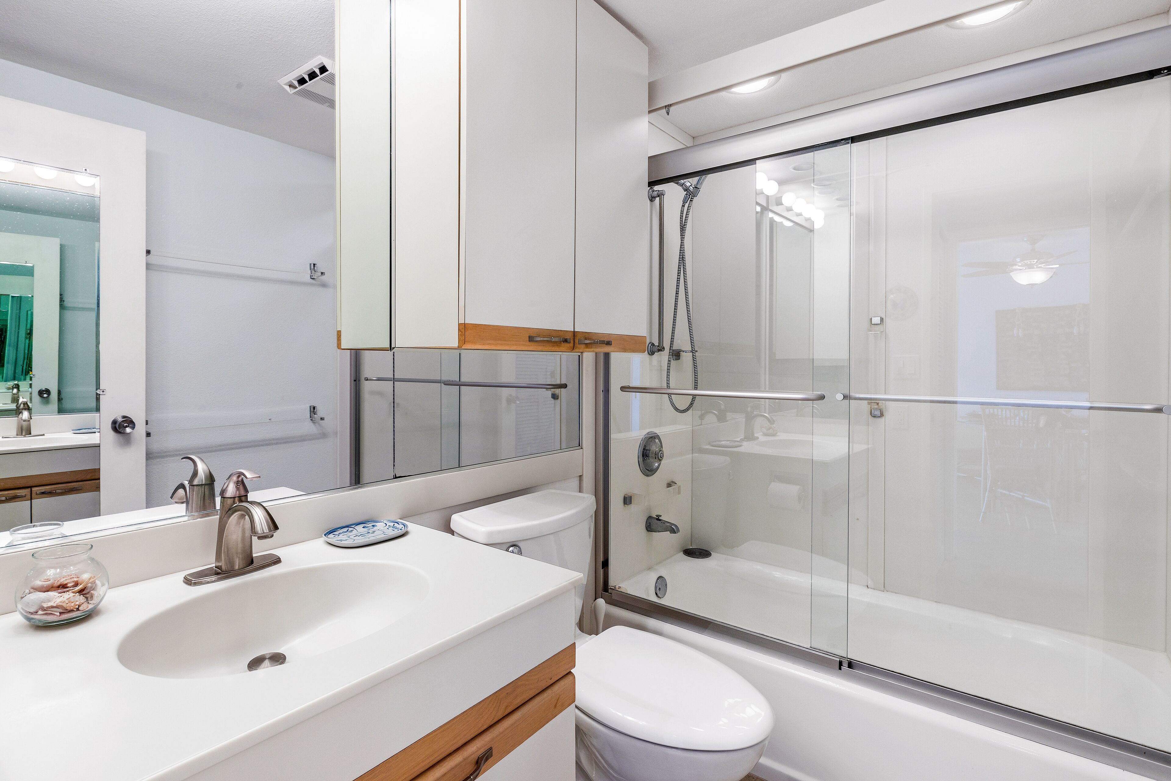 Combined shower/tub, hair dryer, towels, soap