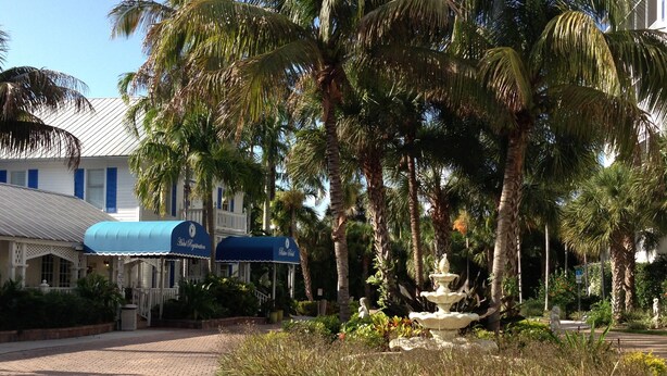 L’entrée d’un hôtel, avec un chemin pavé, des palmiers, une fontaine et des auvents bleus portant des enseignes.