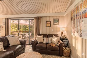 Smart TV, fireplace, video games, books