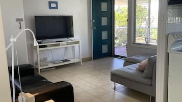 TV connectée, cheminée, lecteur de DVD, livres