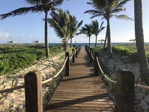 Stroll along the boardwalk, flanked by lush greenery and palm trees, to the ocean's edge.