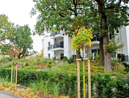 Ferienwohnung mit Balkon inkl. Strandkorb Ostseebad Binz (4)