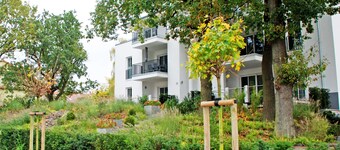 Vacation apartment with balcony incl. beach chair Ostseebad Binz (4)