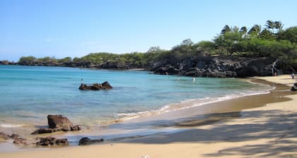 Hermosa vista • Cerca de la playa y cerca de la ciudad
