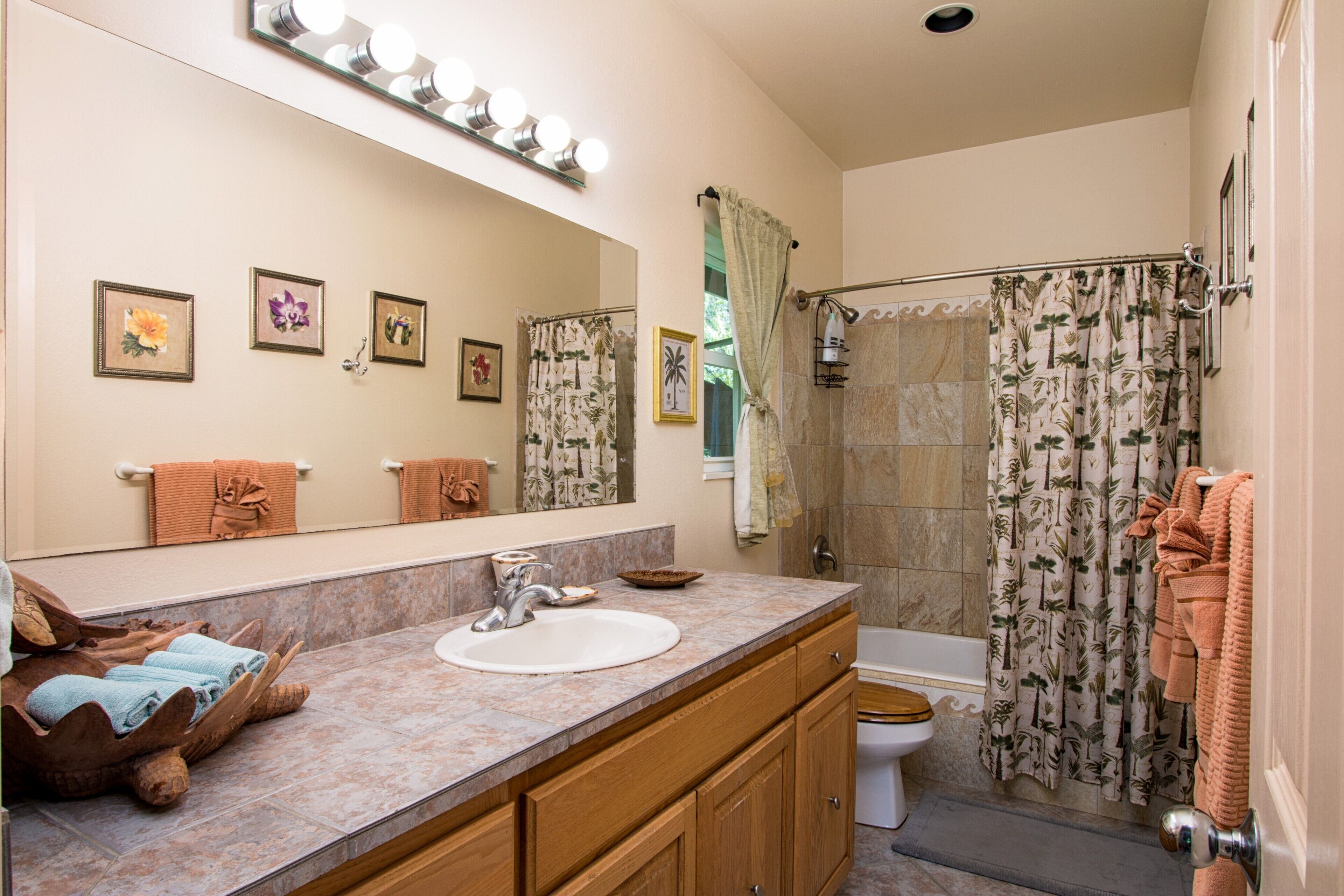 Combined shower/tub, hair dryer, towels, soap