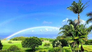A lush garden with a pond, palm trees, and a rainbow in the background. - Amazing VIEWS, Spacious, Farmstead Living, Hosts with Aloha (Hawi)