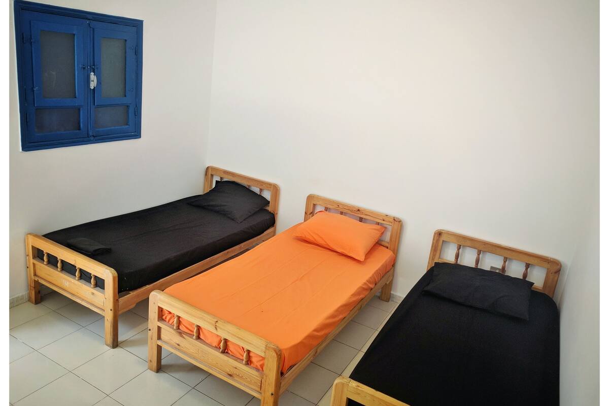 Dormitorio compartido, solo para mujeres, baño privado | Ropa de cama