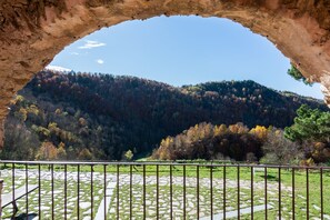 A stone pathway leading to a natural archway overlooking a forested valley. - La Costa de Mollo (Mollo)