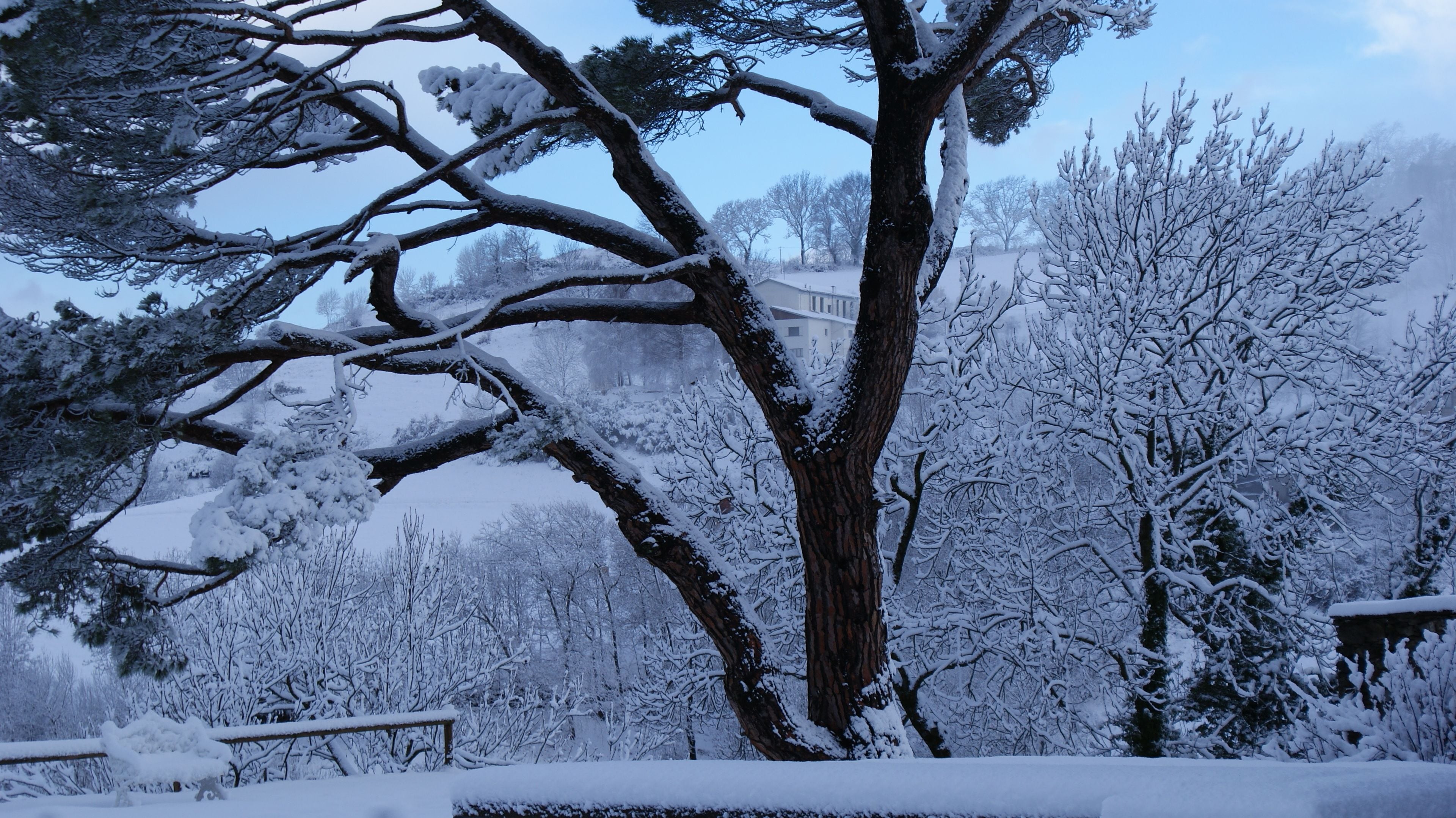 A snow-covered landscape with trees and a building in the background.