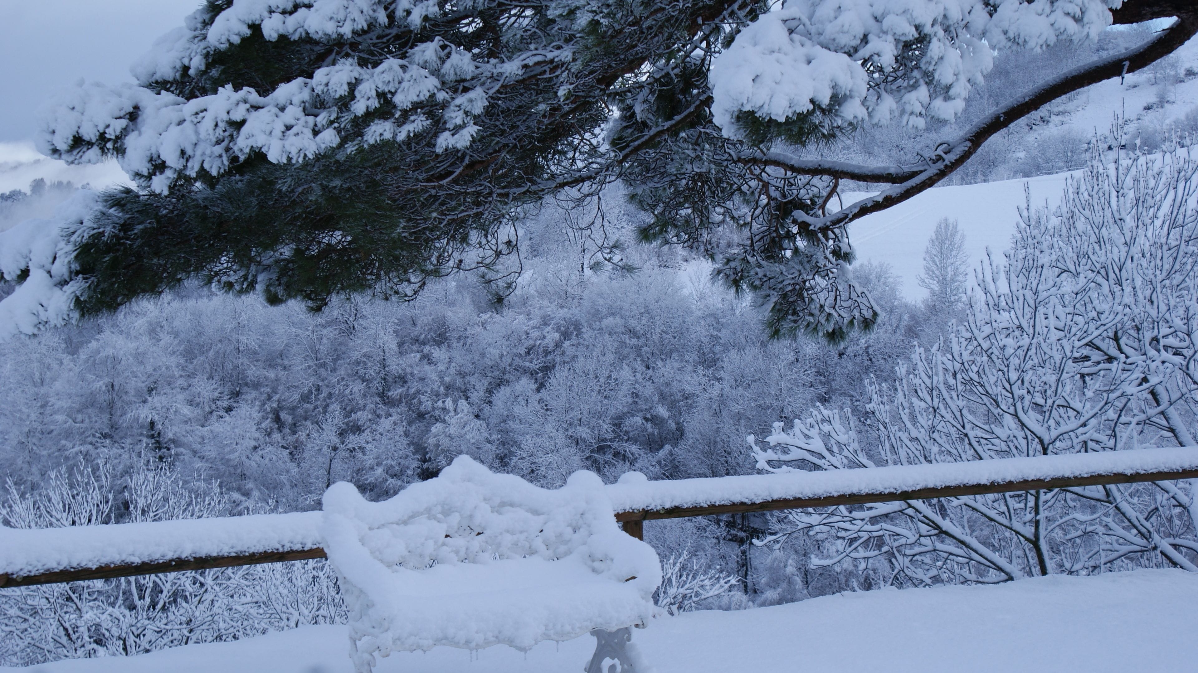 Paisatge nevós amb arbres i una tanca de fusta coberta de neu.
